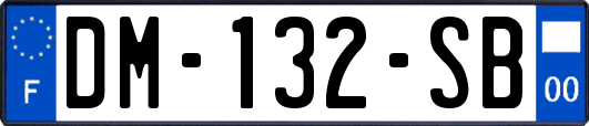 DM-132-SB