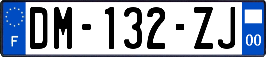 DM-132-ZJ