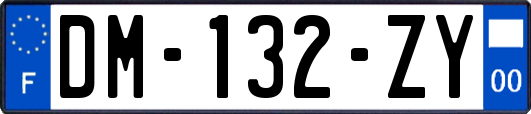 DM-132-ZY