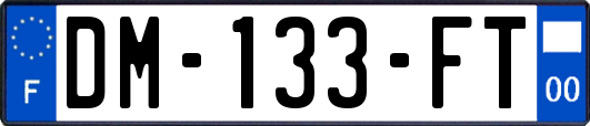 DM-133-FT