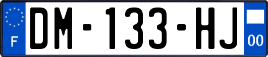 DM-133-HJ