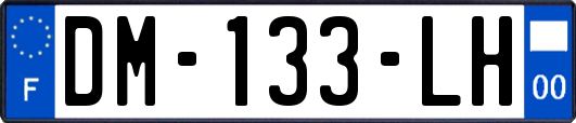 DM-133-LH