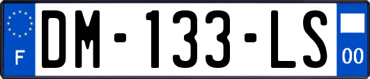 DM-133-LS