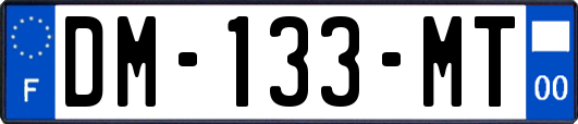 DM-133-MT