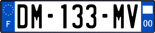 DM-133-MV