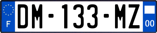 DM-133-MZ