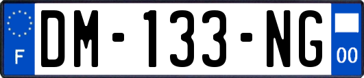 DM-133-NG
