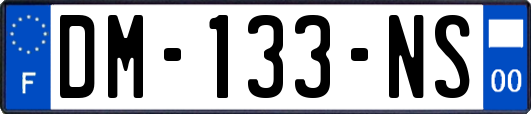 DM-133-NS