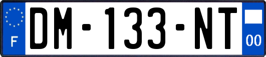 DM-133-NT