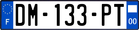DM-133-PT