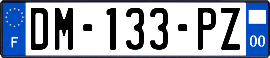 DM-133-PZ