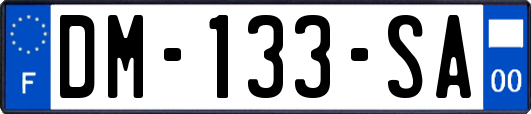 DM-133-SA