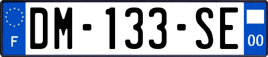 DM-133-SE
