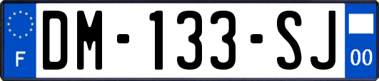 DM-133-SJ