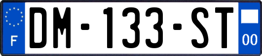 DM-133-ST