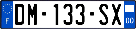 DM-133-SX