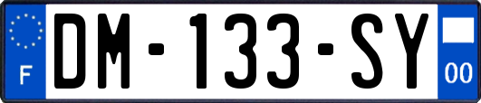 DM-133-SY