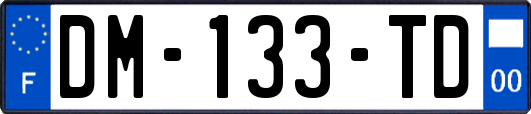 DM-133-TD