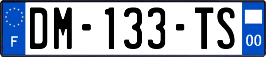 DM-133-TS