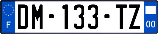 DM-133-TZ