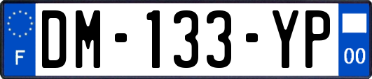 DM-133-YP