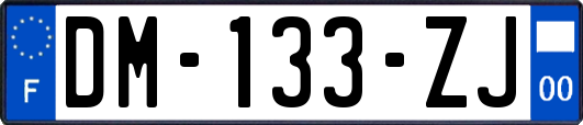 DM-133-ZJ