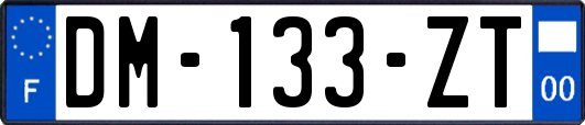 DM-133-ZT