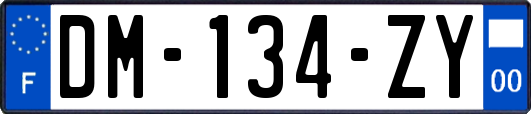 DM-134-ZY