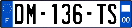 DM-136-TS