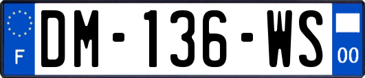 DM-136-WS