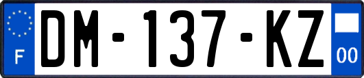 DM-137-KZ