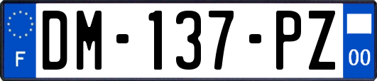DM-137-PZ