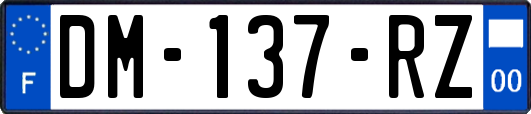 DM-137-RZ