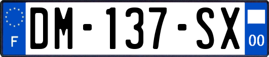 DM-137-SX