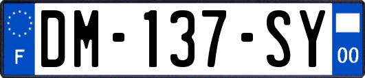 DM-137-SY