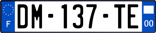 DM-137-TE
