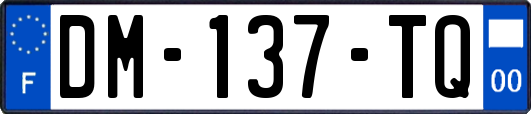 DM-137-TQ