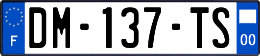 DM-137-TS