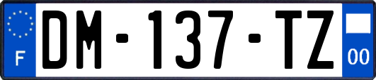 DM-137-TZ