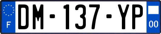 DM-137-YP