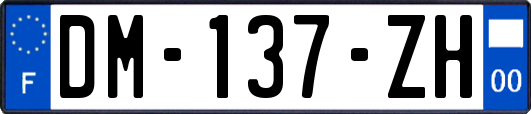 DM-137-ZH