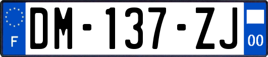 DM-137-ZJ