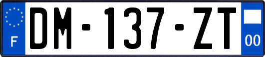 DM-137-ZT