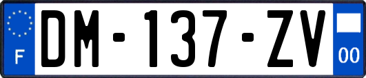 DM-137-ZV