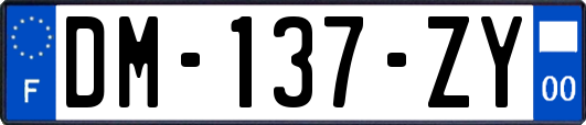 DM-137-ZY