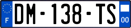 DM-138-TS