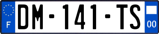 DM-141-TS
