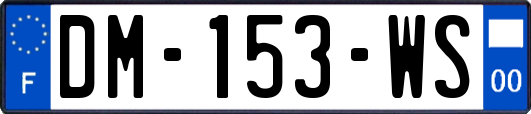 DM-153-WS