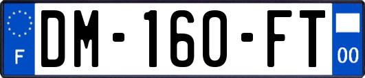 DM-160-FT