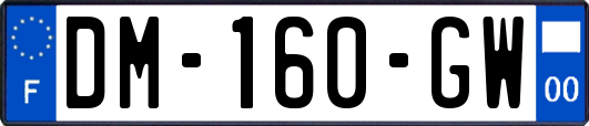 DM-160-GW